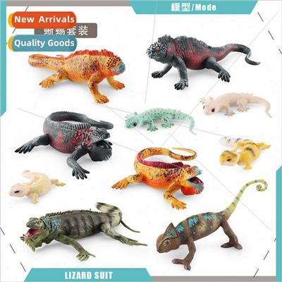 Amphibious reptile model lizard chameleon iguana tetrapod sn