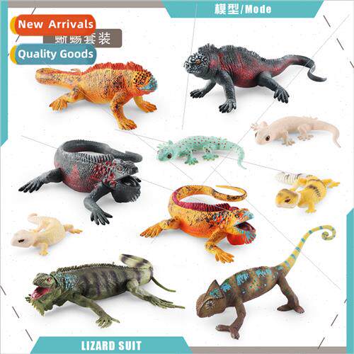 Amphibious reptile model lizard chameleon iguana tetrapod sn