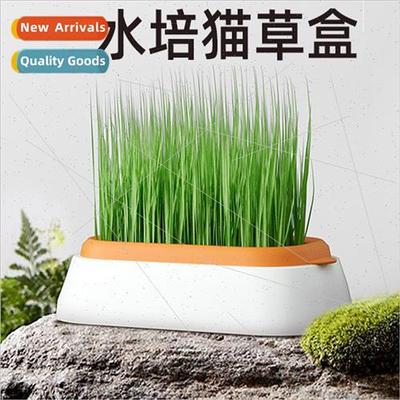 New Hydroponic Cat Grass Box Hairless Cat Snacks Catnip Hydr