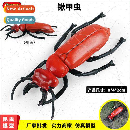 solid insect toy model spade beetle spade-shaped halberd bee
