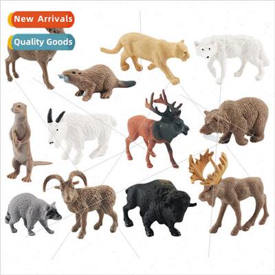 Wild North America animal model cougar raccoon grizzly bear