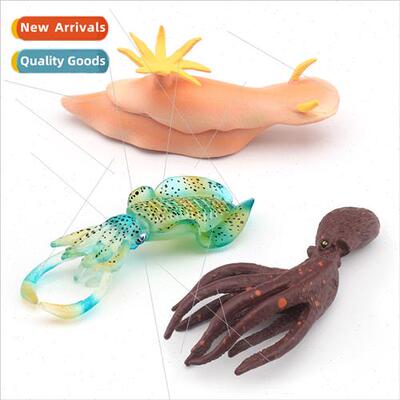 sea rabb sea slug squid cuttlefish squid soft fish creative