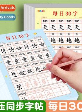 Reduced sss character posters 30 words a day practice book l