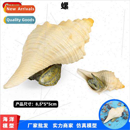 toys life conch nautilus snail ring snail undersea animal sc