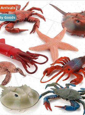 Children simulation crab horseshoe crab starfish lobster tur