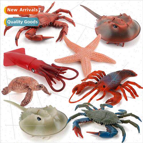Children simulation crab horseshoe crab starfish lobster tur