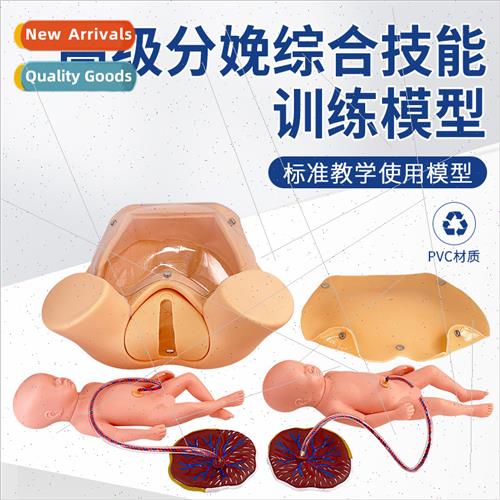 Advanced childbirth comprehensive skills training model preg