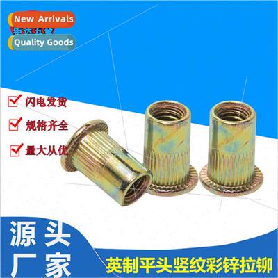 Rivet Nut Flat Head Vertical Rivet Nut Color Zinc Inch Rivet