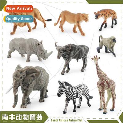 Africa animal model zebra lion spotted hyena whe rhino baboo
