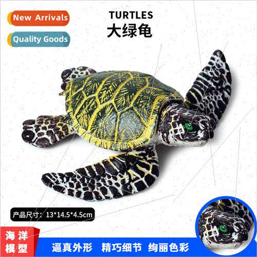 Marine life animal model green big sea turtle Turtle model c