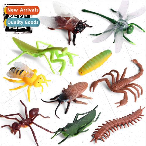 Animal model insects mantis ants dragonfly bees centipede sc