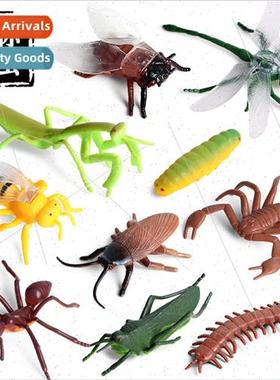 Animal model insects mantis ants dragonfly bees centipede sc