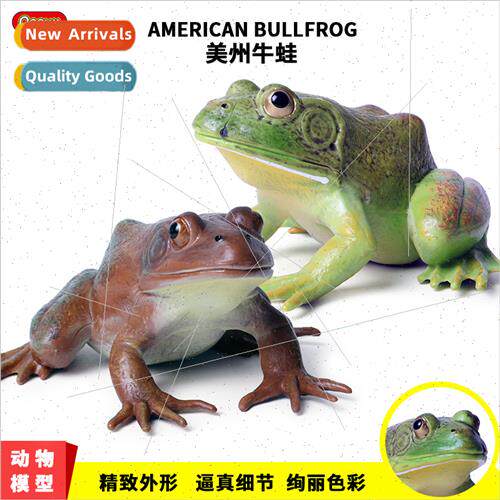mulation ornaments frogs bullfrogs e frogs frogs frogs toad