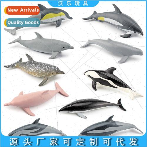 Marine mammal dolphin model ornament toy short-snouted dolph