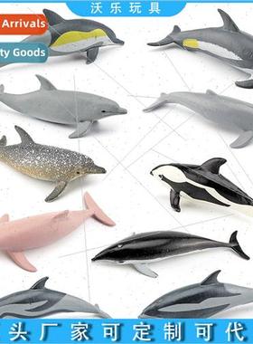 Marine mammal dolphin model ornament toy short-snouted dolph