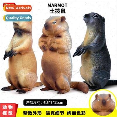 Children world wildlife toys rats chipmunks groundhogs squir