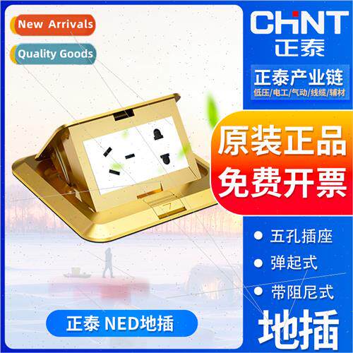 Ground 5-hole socket brass pop-up NED1-30100C wh damping NED