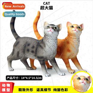 Children wild poultry livestock animal model large domestic