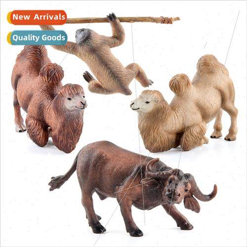 Desert Bactrian camel African buffalo sloth wildlife static