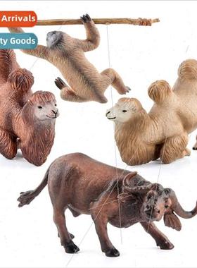 Desert Bactrian camel African buffalo sloth wildlife static