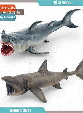 Marine Biology Vertebrates Great Whe Shark Piranha Shark Bas