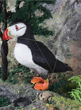 Birds wild solid animal model sea eagle puffin puffin childr