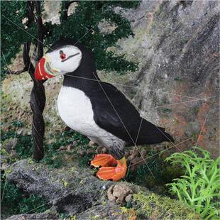 Birds wild solid animal model sea eagle puffin puffin childr