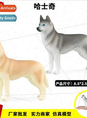 Teaching aids dog animal model husky shiba inu golden retrie