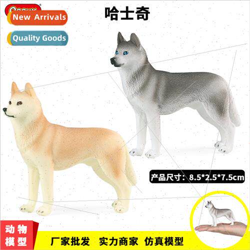 Teaching aids dog animal model husky shiba inu golden retrie