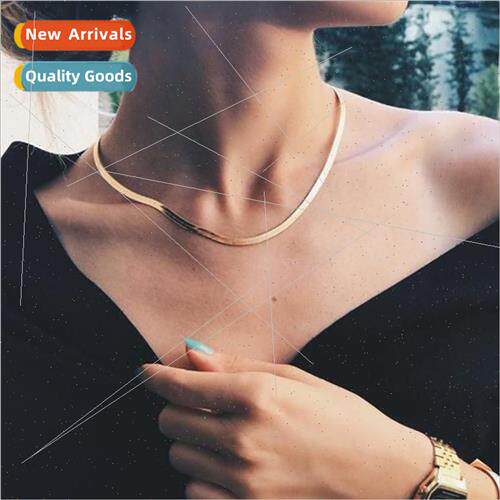 jewelry fashion new blade chain lockbone chain short flat sn