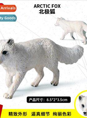 Children zoo toy model wildlife world fox whe fox Arctic fox