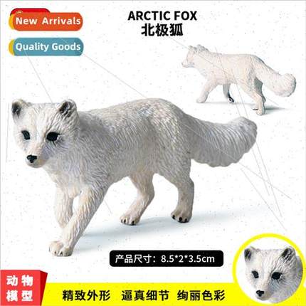 Children zoo toy model wildlife world fox whe fox Arctic fox