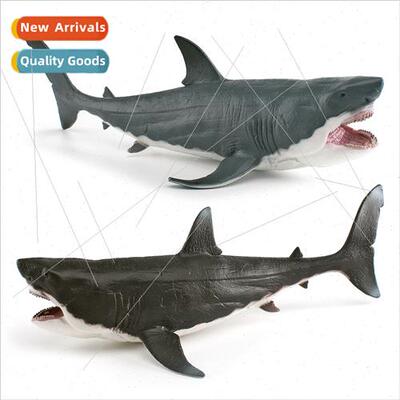 Shark model undersea creatures megalodon shark big tooth sha