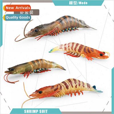 Marine life shrimp model children cognive aquatic tiger praw
