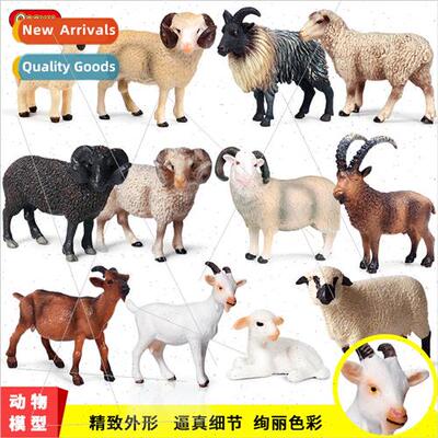 solid cognive animal model antelope goat sheep ranch poultry
