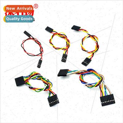 2.54 Dupont Cable-2P 3P 4P 6P 8P Double Head wh Holder 20CM