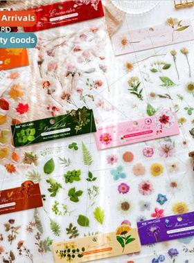 PET drip stickers flowers not sleeping plants flowers handbo