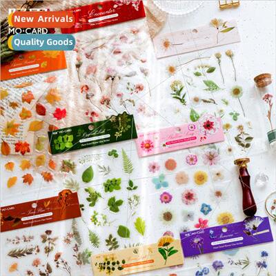 PET drip stickers flowers not sleeping plants flowers handbo