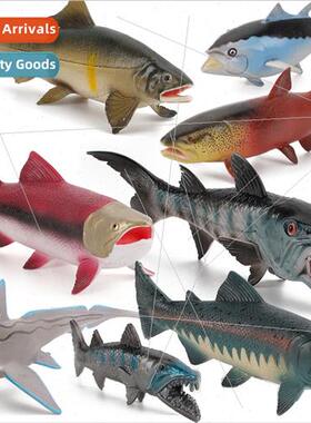 Children cognive simulation marine fish trout tuna mahi-mahi