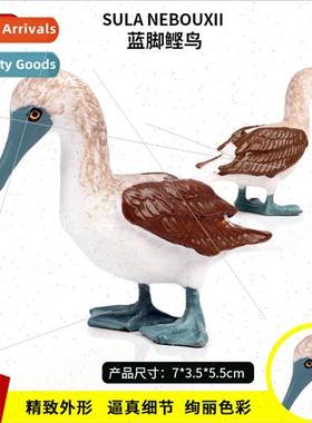 World bird model blue-footed boobies static figures children