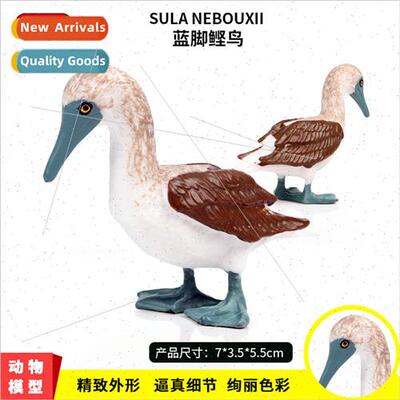 World bird model blue-footed boobies static figures children