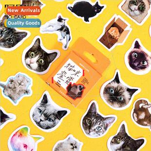 Boxed Stickers Cat Appreciation Cute Animals Handbook Album