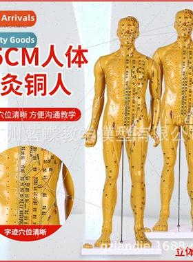 85CM acupuncture copper human human acupuncture model meridi