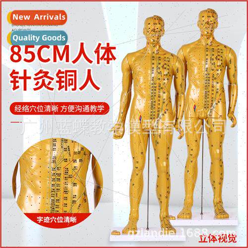 85CM acupuncture copper human human acupuncture model meridi