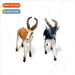 mulation Indian antelope gazelle model wildlife antelope des