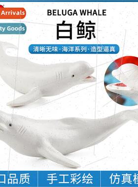 Solid beluga whale model marine toys whale model plastic chi