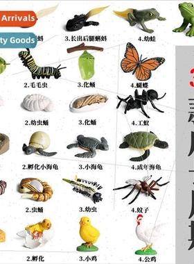 Animal model mini animals butterfly rooster ants frogs turtl