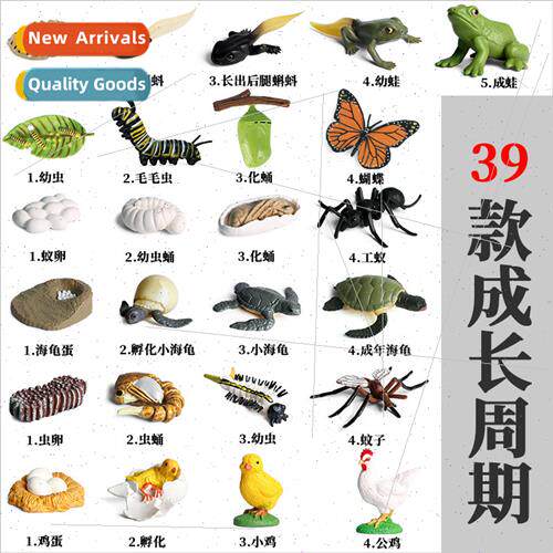 Animal model mini animals butterfly rooster ants frogs turtl