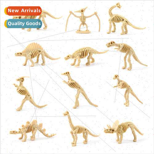 Dinosaur Skeleton Toys适用Kids A variety dinosaur skeleton s