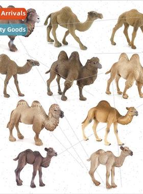 Bactrian camel type static wildlife desert camel mold orname